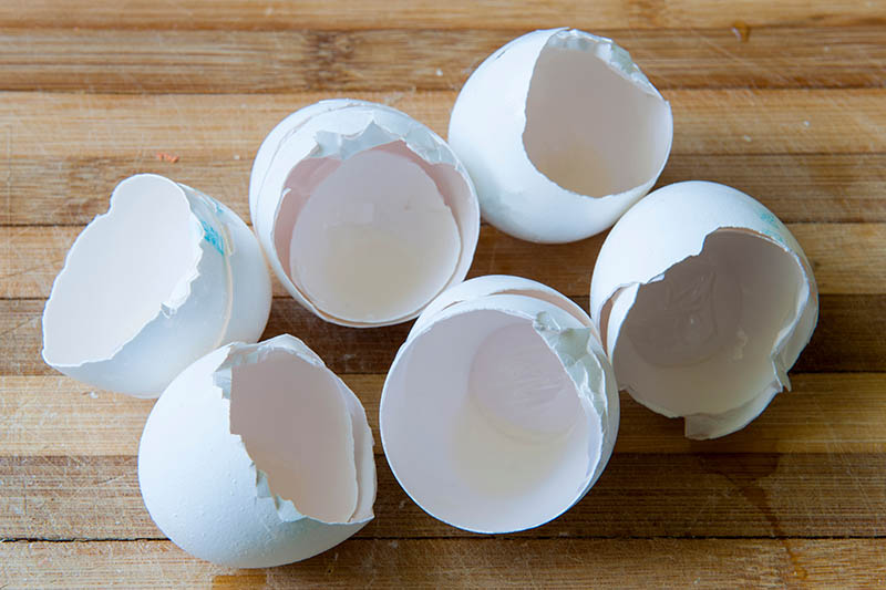 A close-up of bright white egg shells, in which some of the protein is still found, on a rustic wooden surface.