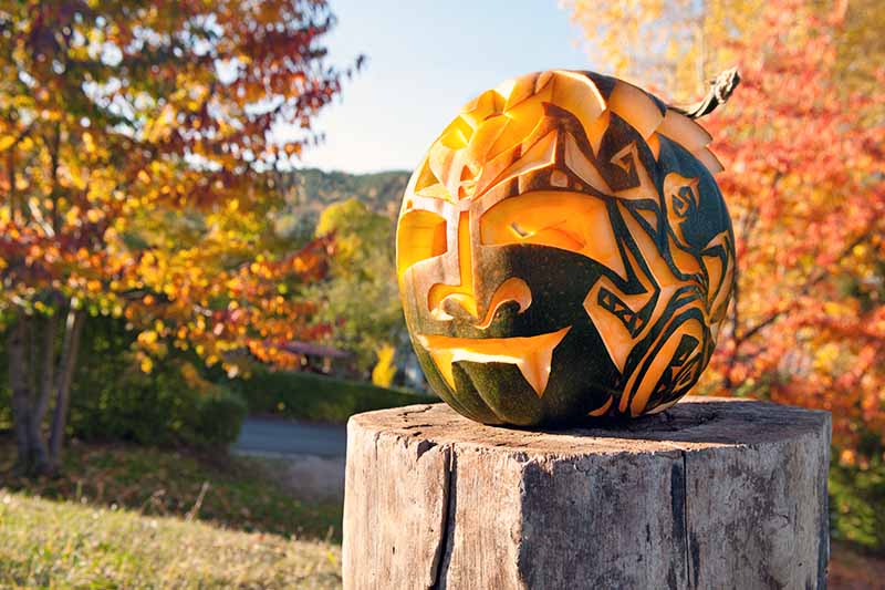 An intricately carved green and orange pumpkin on a stump, with autumn leaves in the bright sunshine in the background.