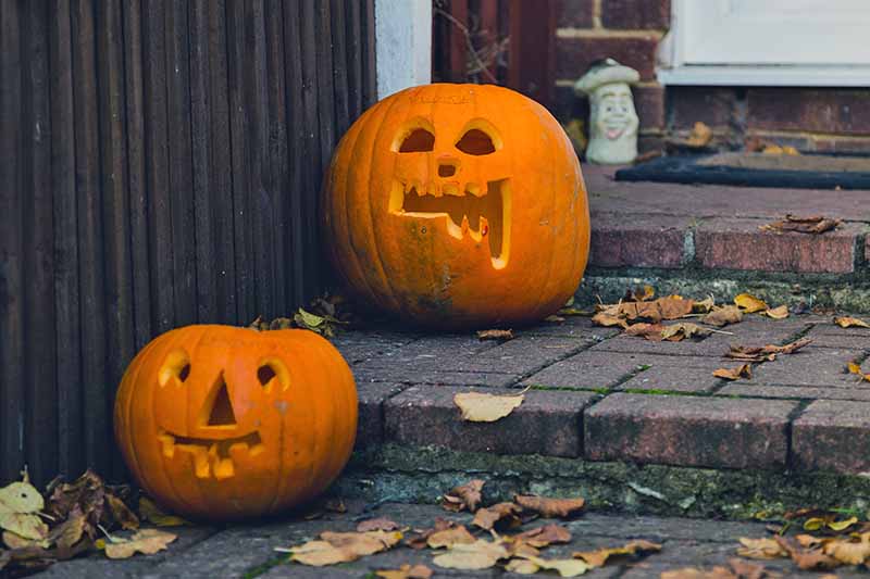 Two pumpkin lanterns on the brick steps of a house with scattered dry autumn leaves.