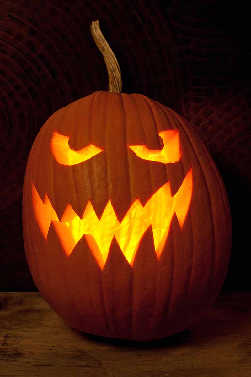 A carving pumpkin with bright yellow eyes and mouth, against a black background.