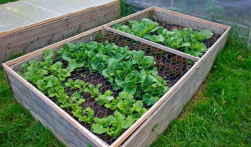 Raised bed protection