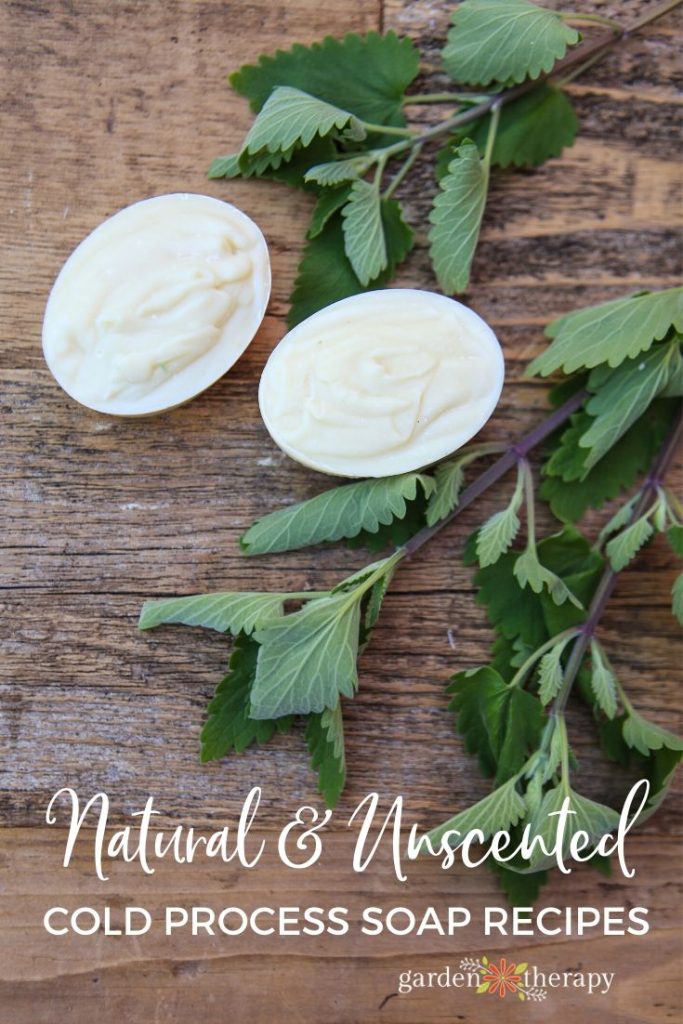 Natural and unscented herbal cold process soap recipes (